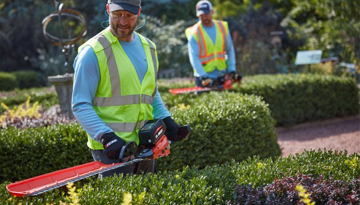 How_To_Trim_Hedges_700x400_2